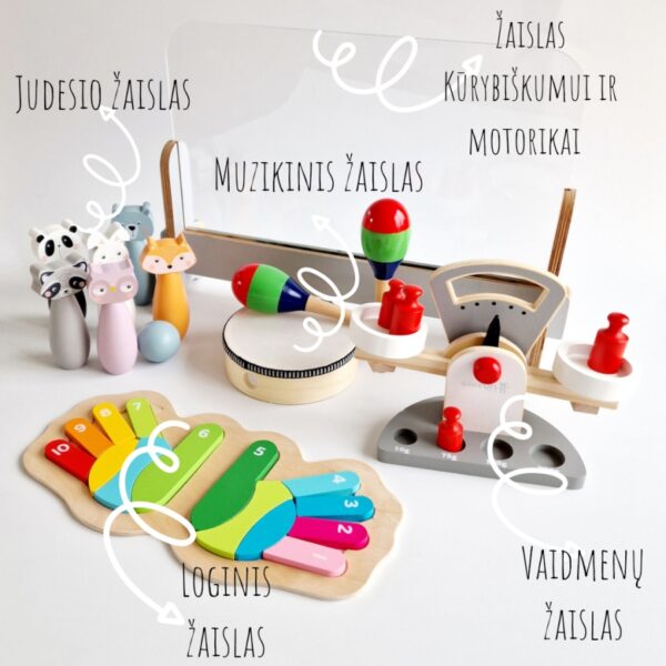 Žaislai, Žaislų nuoma, Edukaciniai žaislai, Vaiko dėžutė