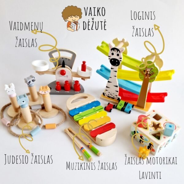 Žaislai, Žaislų nuoma, Edukaciniai žaislai, Vaiko dėžutė