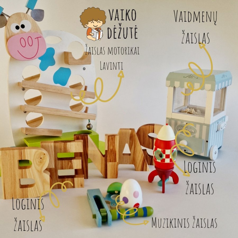 Vaiko dėžute Žaislų nuoma Žaislų deriniai edukaciniai žaislai, dovana vaikui