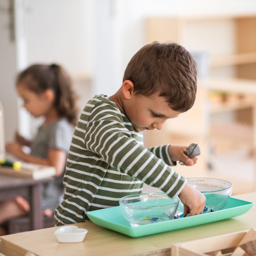 Montessori priemonių nuoma, žaislų nuoma, medinių žaislų nuoma, edukacinių žaislų nuoma, Vaiko dėžutė