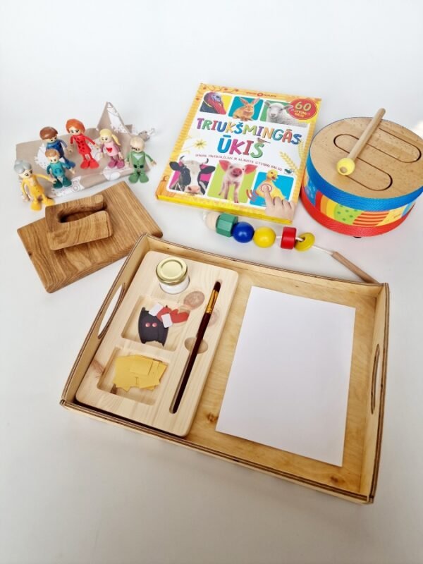 Montessori dėžutės nuoma, žaislų prenumerata, edukaciniai žaislai, lavinamieji žaislai, žailai 1-2 metų vaikams