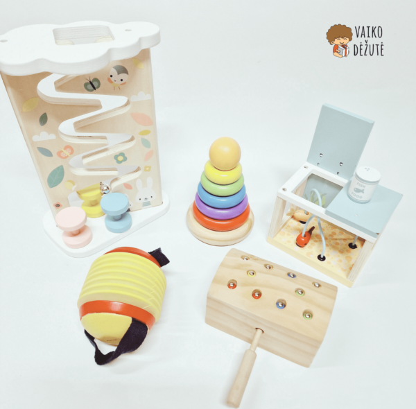 Vaiko dėžutė, žaislų nuoma, žaislų prenumerata, lavinamieji žaislai, tvarumas,dovanos ideja