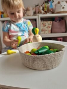 Plan Toys žaislai aukšta kokybė mediniai žaislai žaislų nuoma vaiko dezute